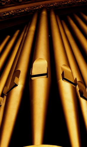 Organ Pipes
