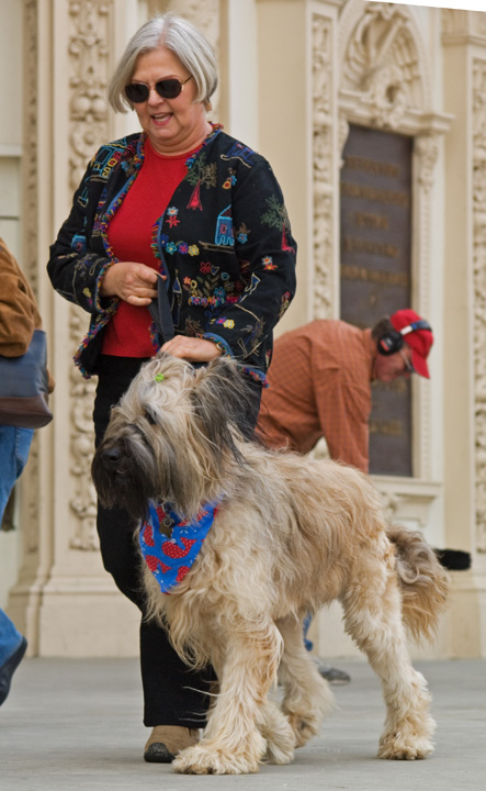 bark_6162