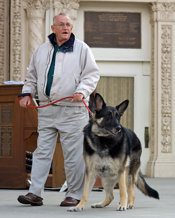 bark_6204