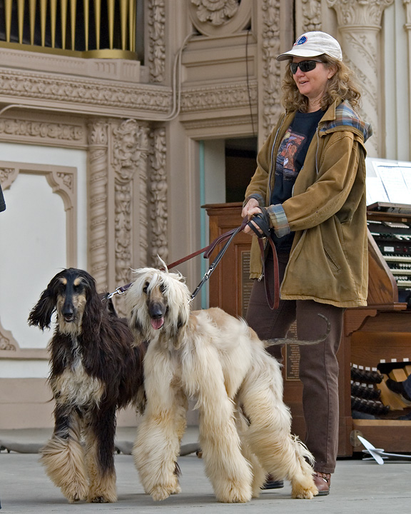 bark_6210